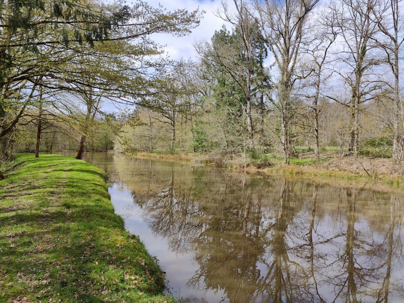 Domaine De Charnay - Charme Et Confort Dans Un Environnement D'Exception Vierzon Ngoại thất bức ảnh