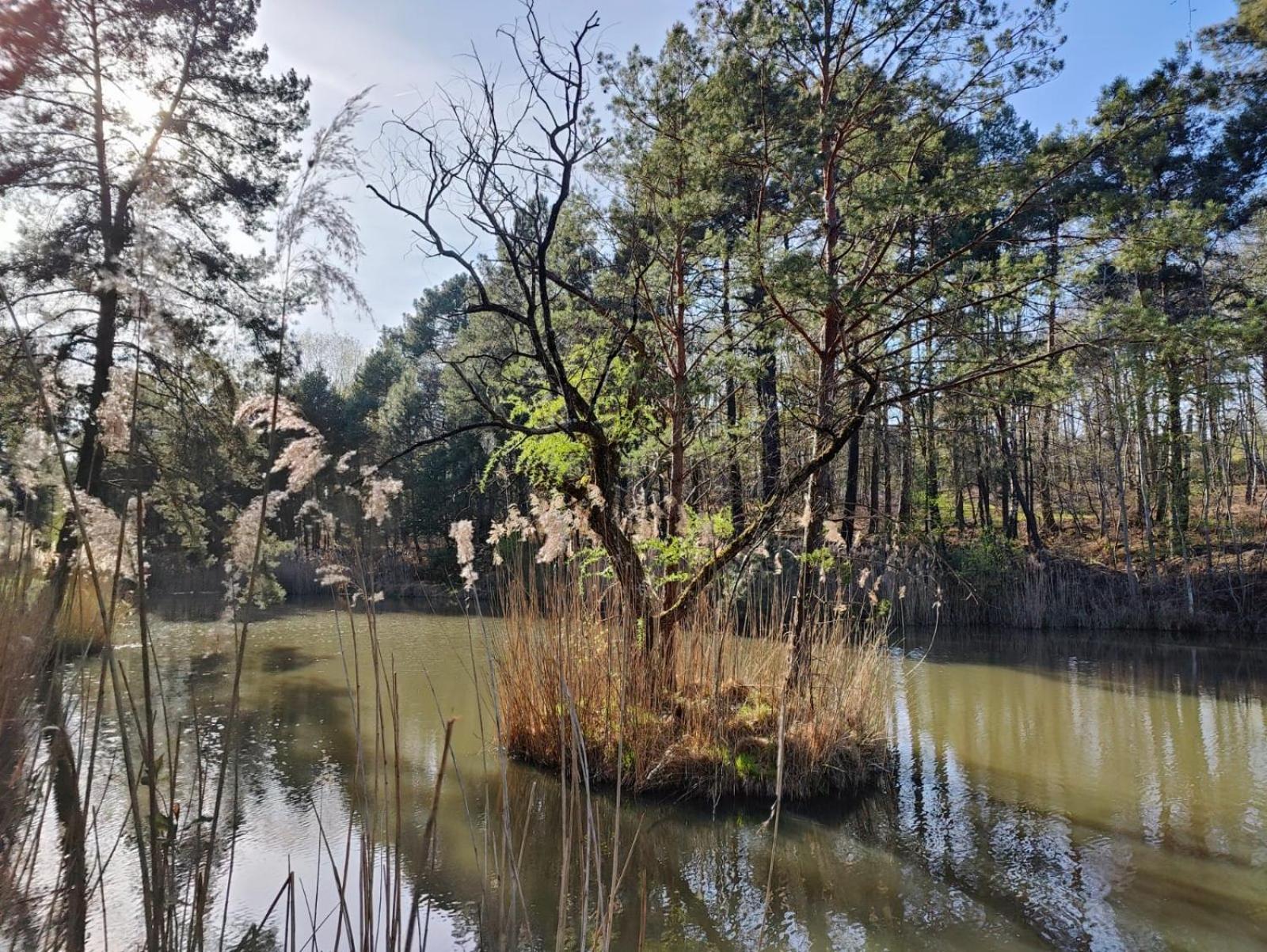 Domaine De Charnay - Charme Et Confort Dans Un Environnement D'Exception Vierzon Ngoại thất bức ảnh